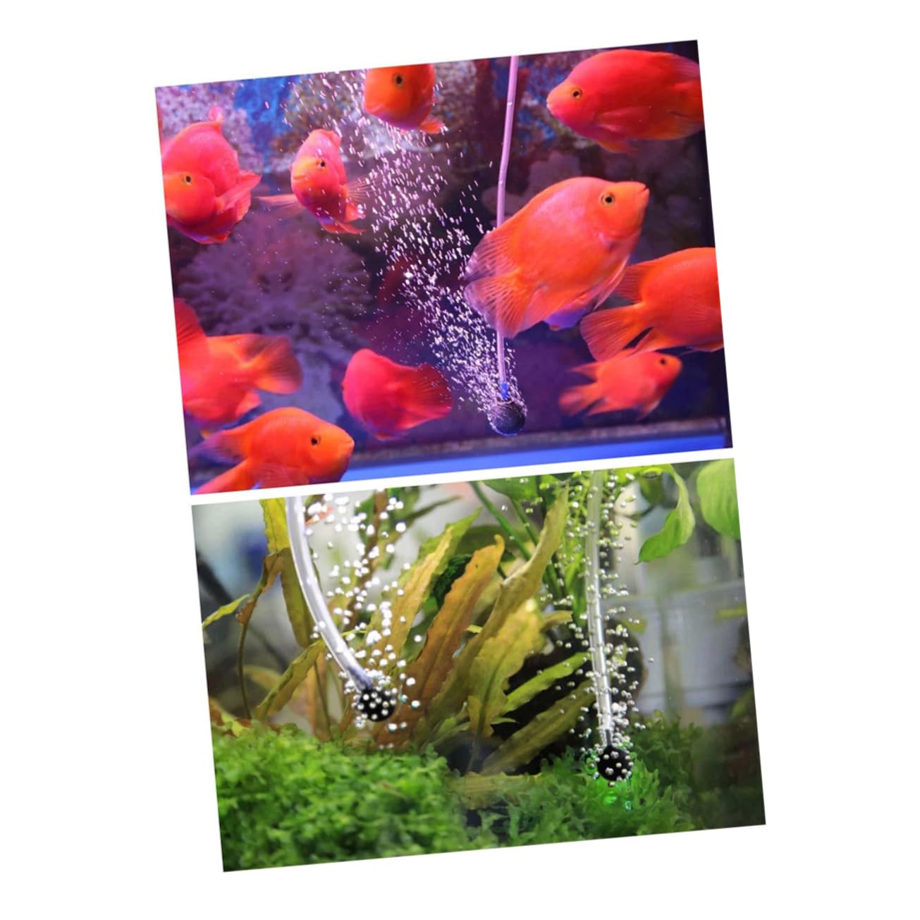 Hemobllo Solarbetriebene 3600mah Akku für Aquarien Sauerstoff Luftpumpe mit 3 Modi Tragbar Kunststoffgehäuse für Outdoor Angeln und Fischbecken