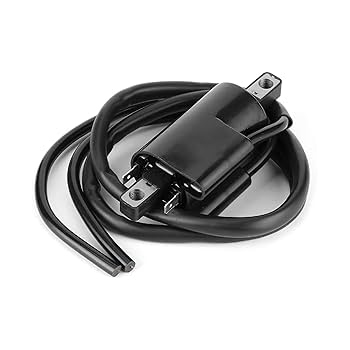 Amazon.com: Sea-Doo New OEM Electrical Box Ignition Coil