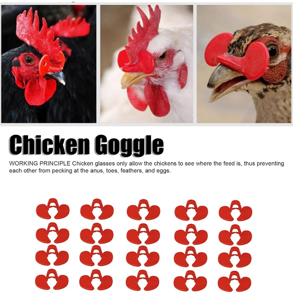 Occhiali per Pollo Senza ago, Maschere per Occhi durevoli per pollame Fagiano, Occhiali Anti-Becco per Galline e Galline per Galline e Uccelli 200pz Red Medium