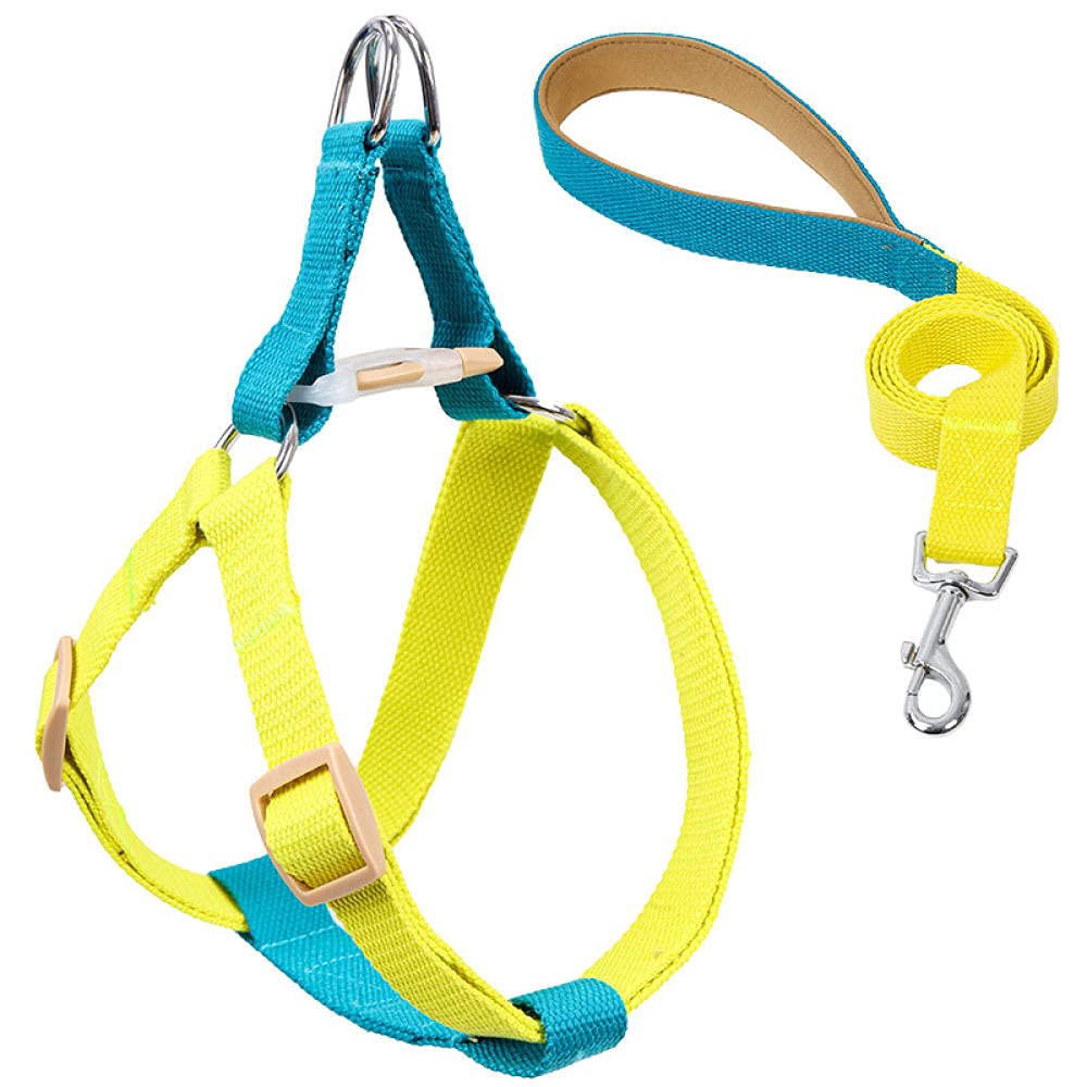 pettorina per cani, Con guinzaglio e pettorina for cani, guinzagli in nylon anti-tiro for di piccola taglia, set, collare GL(B,S)