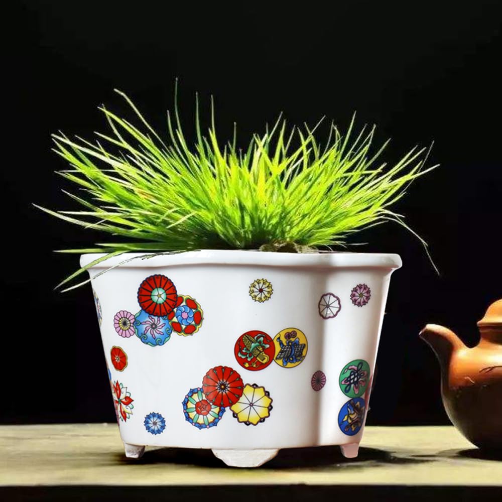 DFGHNBVC Blue And White Porcelain Flowerpot Chinoiserie Jingdezhen Home Garden Planter Applique Orchid Pattern Plant Pot With Drainage Hole For Indoor Outdoor Gardening