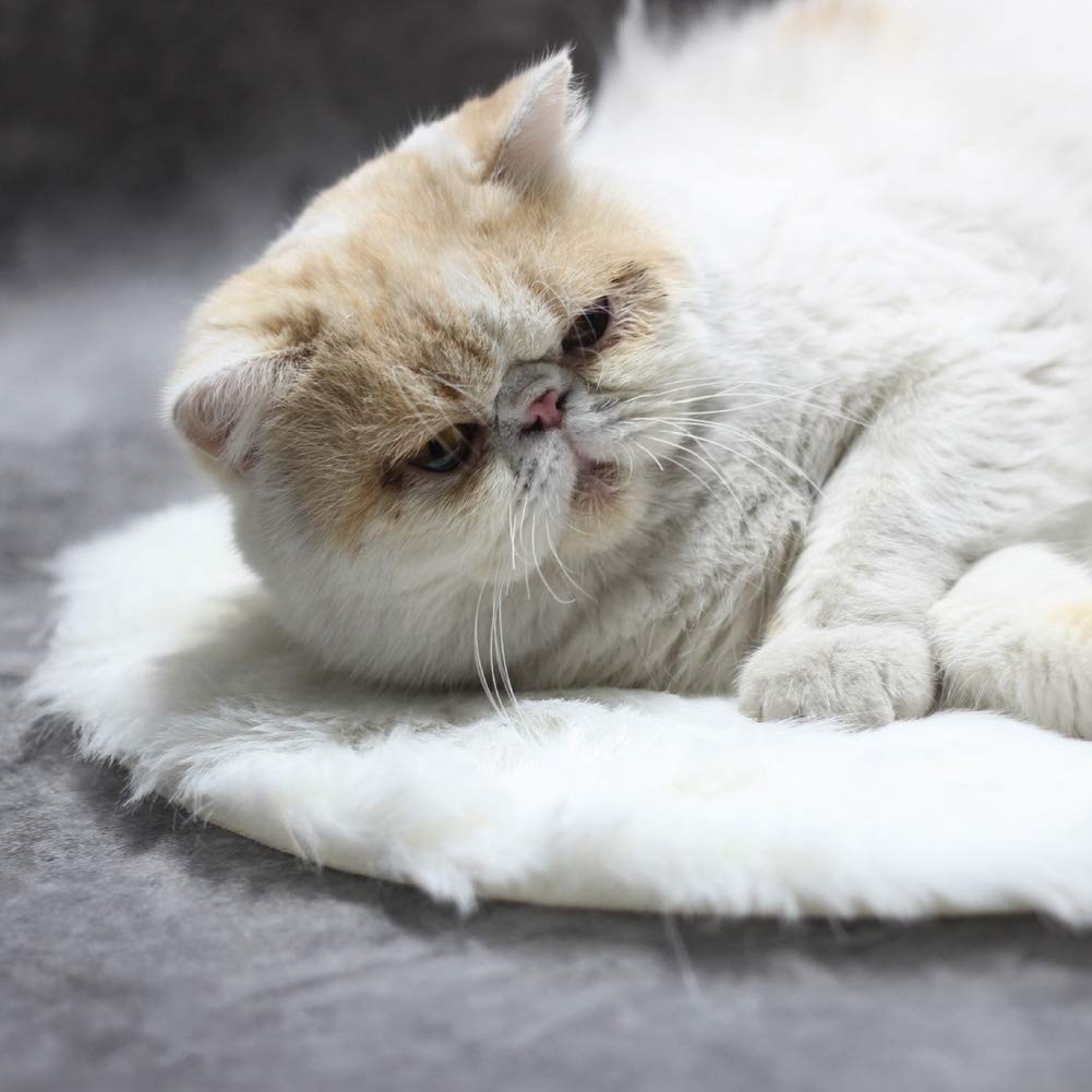 Round-17in,Pet Heating Pad,Small Pet Cat Plush Heating Pad, Electric Blanket Cat Heating pad Waterproof, with Smart Thermostat Switch Indoor Warming Pad(White), Pet Heating Pad,Round-17in,Small P