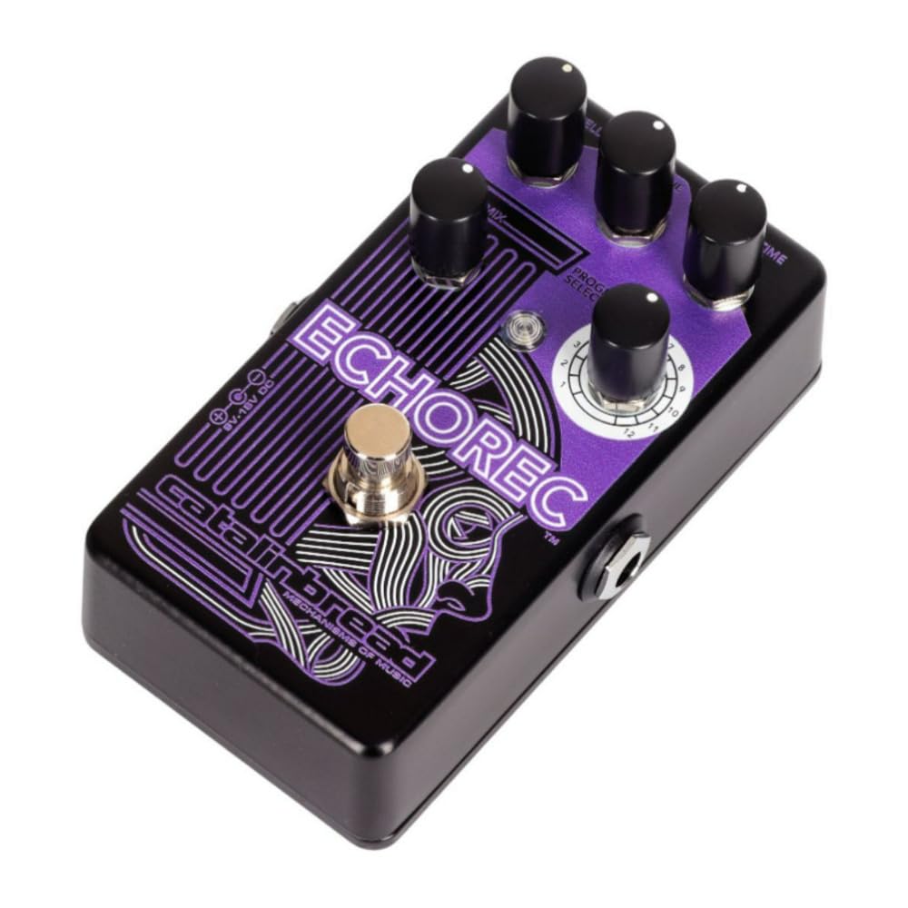 Amazon.com: Catalinbread ECHOREC Multi-Head Delay Guitar Effects