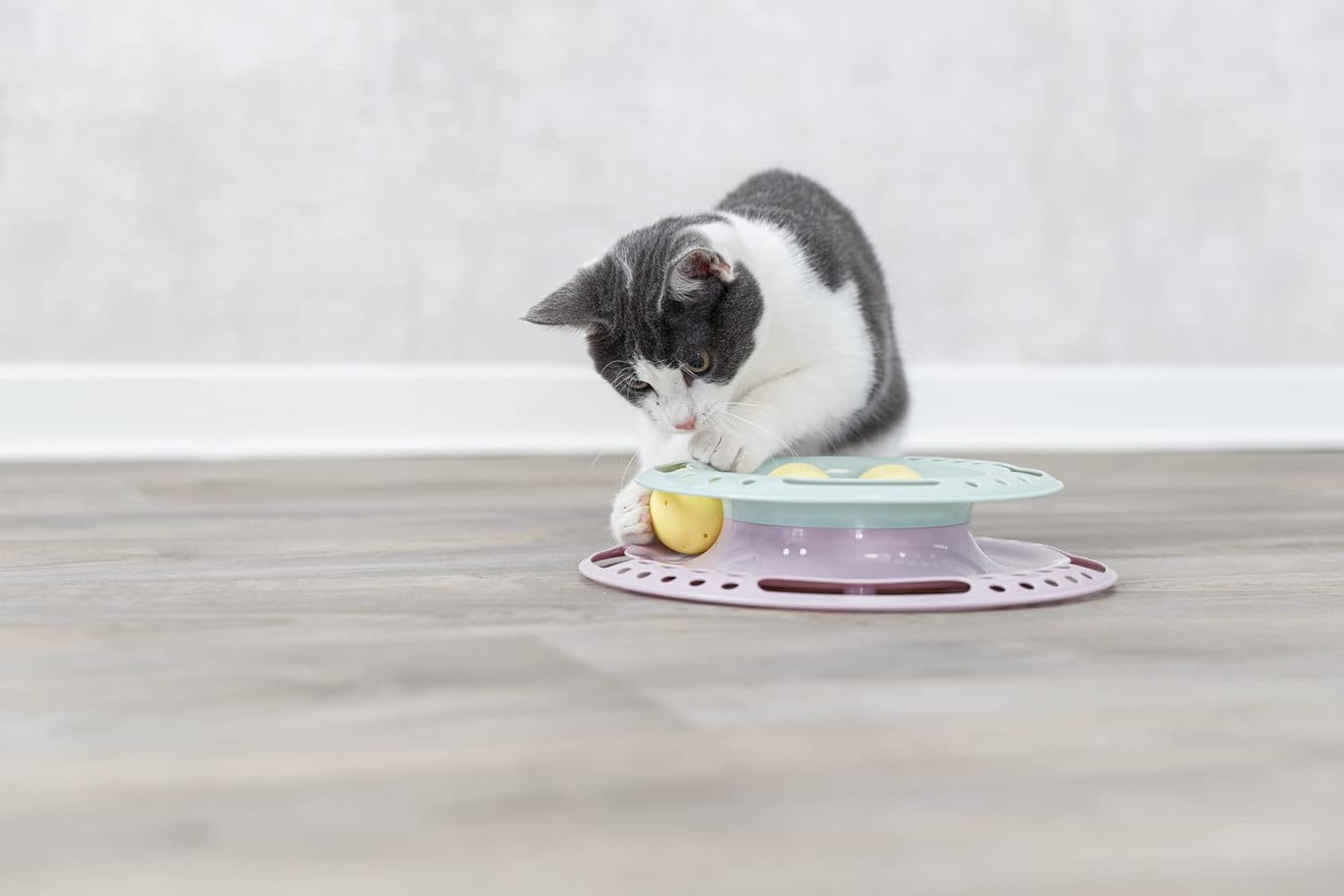 Trixie Junior Cat Activity Circle Track, Chase Track, Cat Toy, Interactive Toy