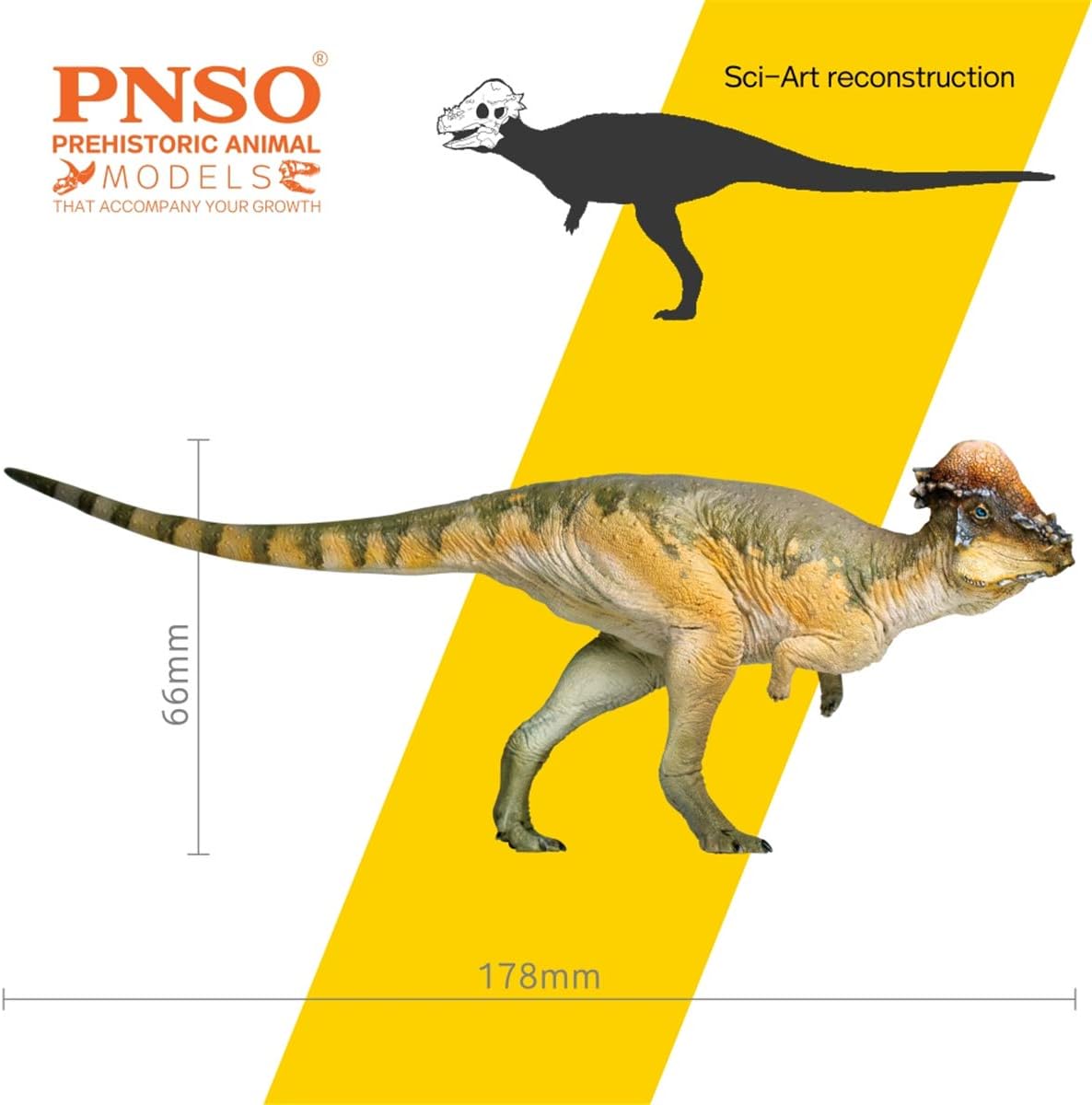 PNSO Pachycephalosaurus Austin Figure Realistic Stygimoloch Pachycephalosauridae Dinosaur PVC Collector Toys Animal Art Model Decoration Gift for Adult