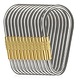 D-FantiX Mini Titanium D-ring Locking Carabiner Keychain with Key Rings for Camping Hiking Outdoor Edc Gear Pack of 10
