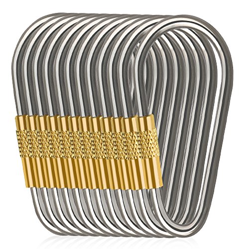 D-FantiX Mini Titanium D-Ring Locking Carabiner Keychain with Key Rings for Camping Hiking Outdoor EDC Gear Pack of 10