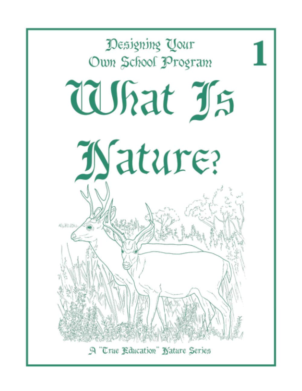What is Nature?: Nature Lesson 1