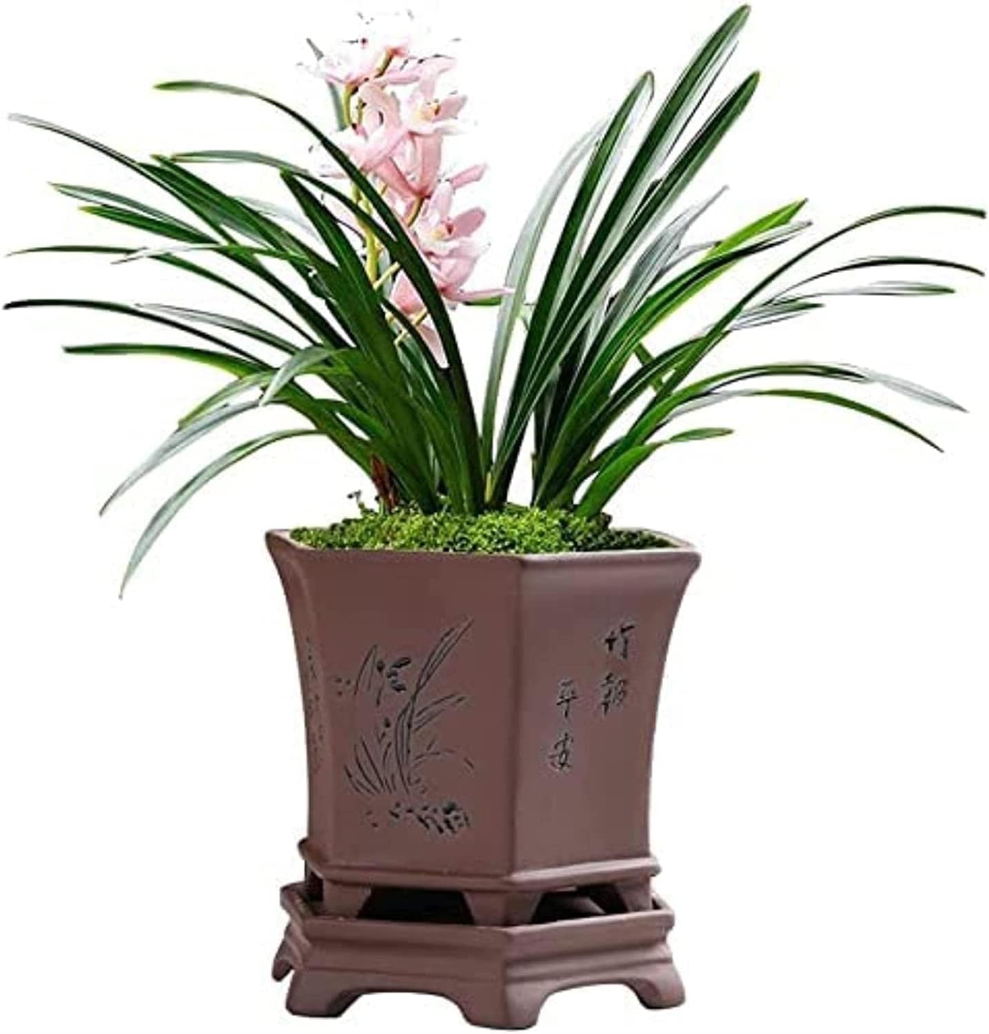 Traditional Chinese Purple Clay Hexagonal Plant Pot, Engraved Ceramic Flower Pot W/Drainage, Orchid Bonsai Succulent Planter, Decorative Indoor Outdoor Home Office Gift