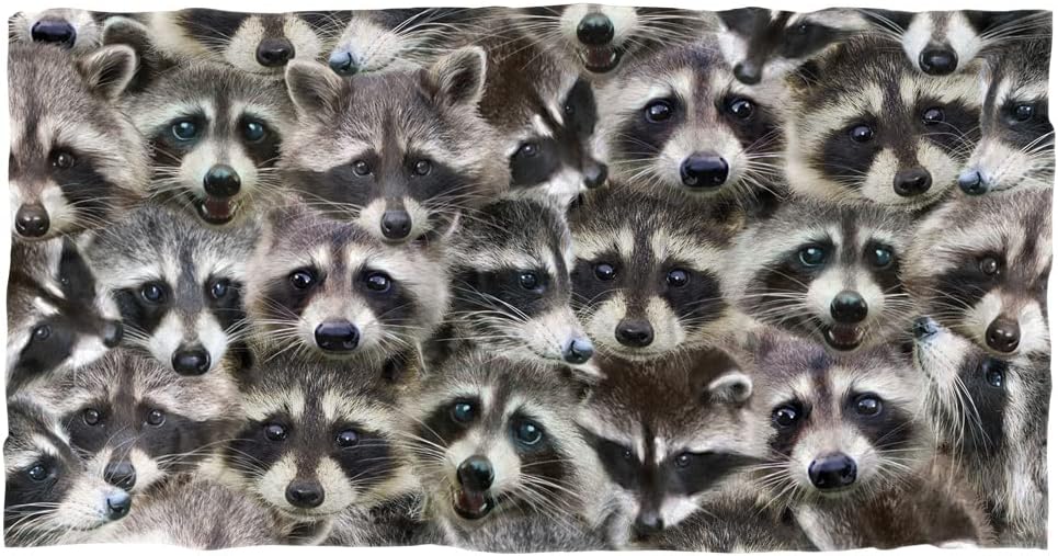 LOGOVISION Racoons Beach Towel, 30"x60", Beach Towel