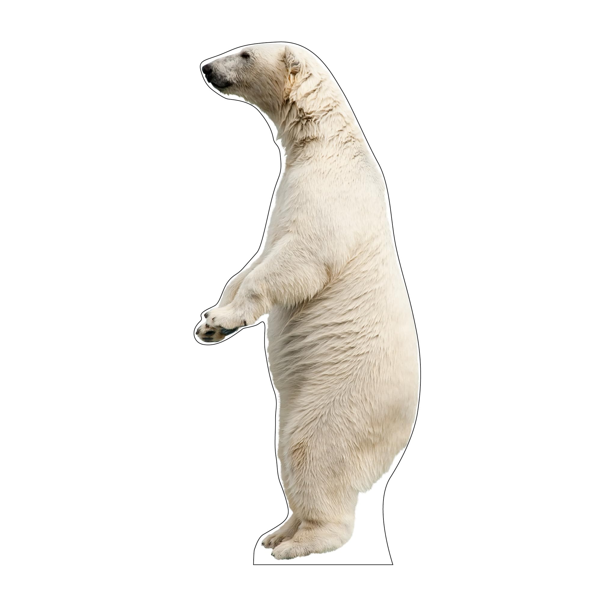 □PolarBear Standing◇Knvd Kyhn◇２６cm×１６cm◇ □PolarBear Standing◇Knvd Kyhn◇26cm×16cm◇ Polarbear