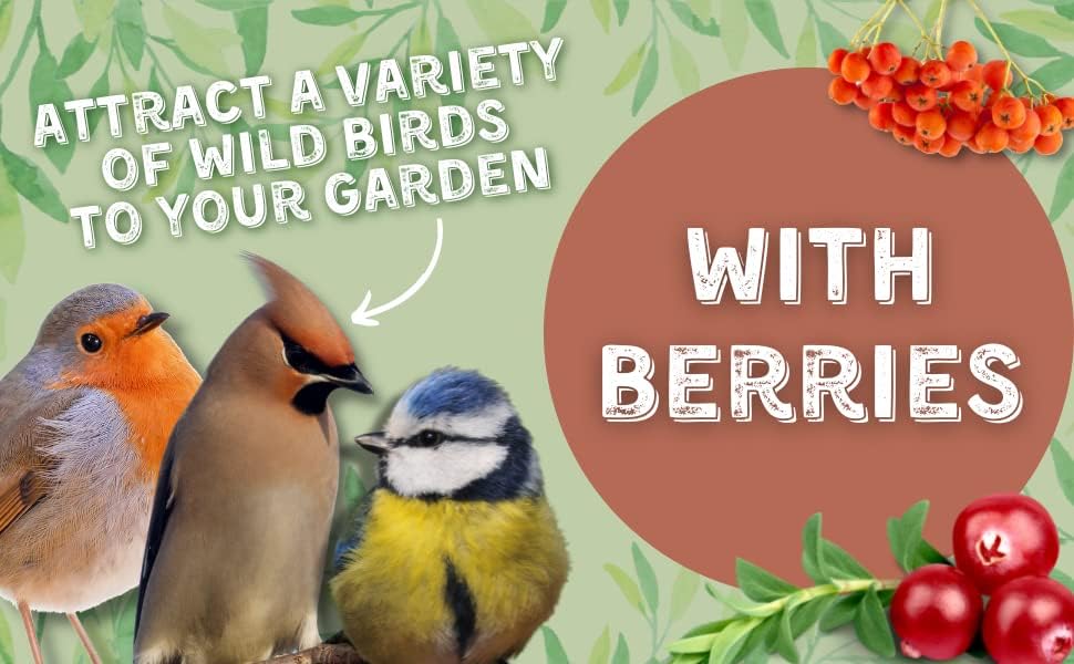 Copdock Mill Wild Bird Seed 20kg  Signature Collection Berry Feast Wild Bird Food  All Year-Round Bird Seed  100% Natural Ingredients Including Peanuts for Wild Birds  Suitable for All Species