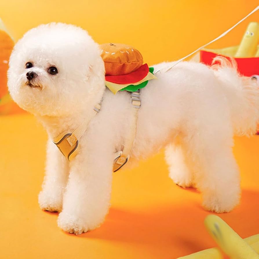 ❣️ペットリード 小型犬用 長さ調整可能 おしゃれ かわいい 通気 S Amazon | ペットリード 小型犬用 長さ調整可能 おしゃれ