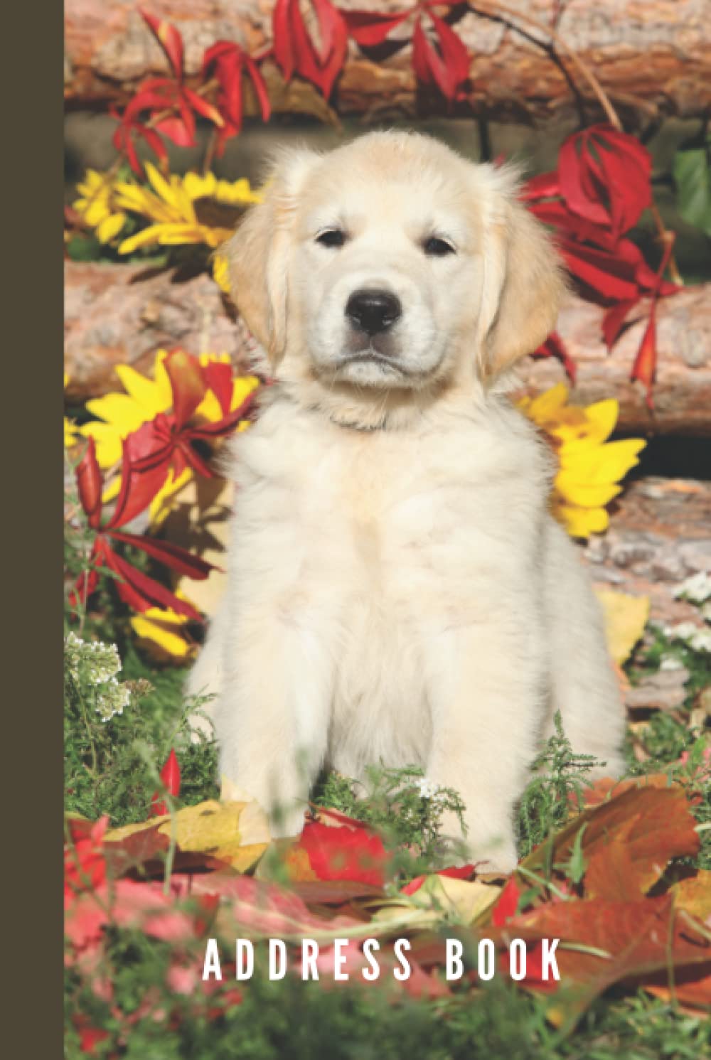 Address Book: Hardcover Hardback / Golden Retriever Puppy Dog - Sunflower Autumn Theme / Track Names - Telephone Numbers - Emails in Small 6x9 ... Kids - Teen - Adult -Senior Citizen Gift