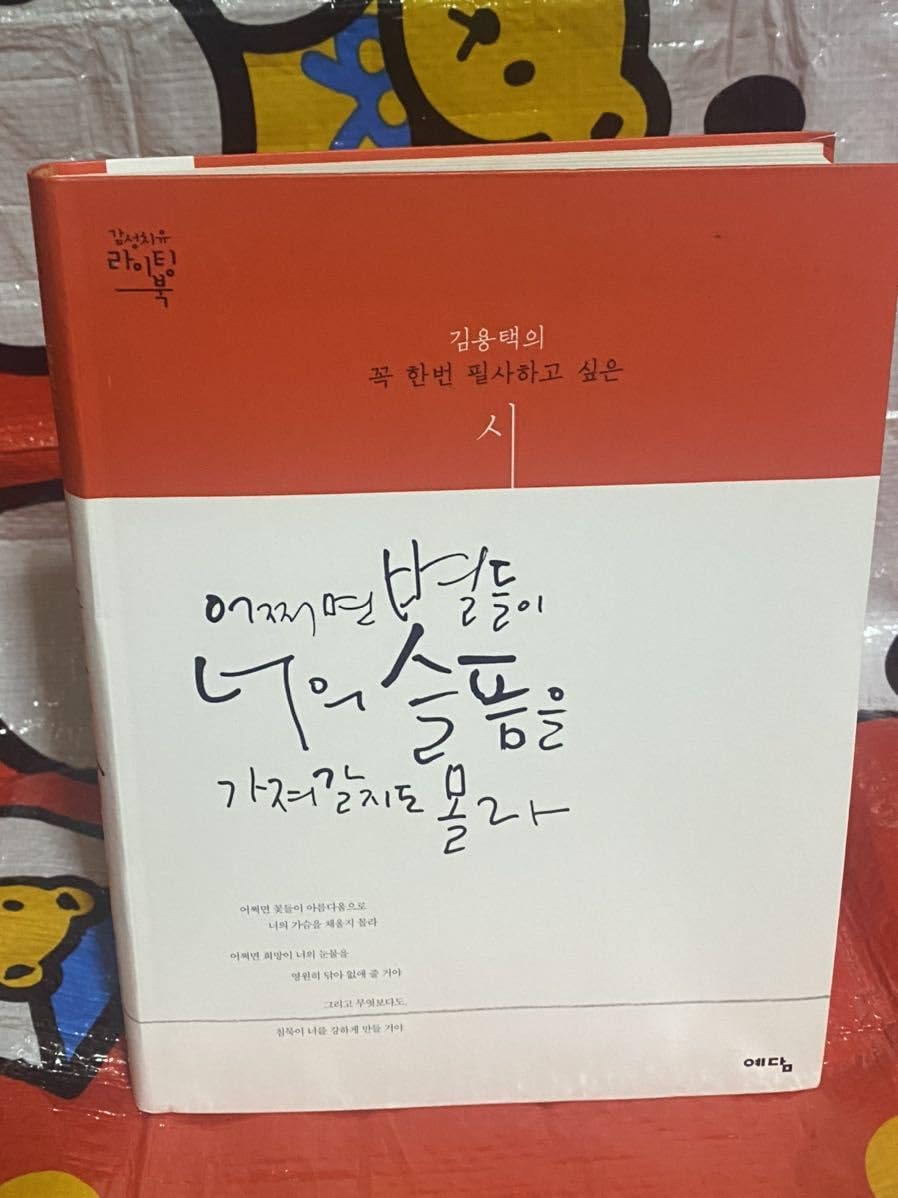 トッケビ詩集　韓国語学習に！たぶん星たちがあなたの悲しみを奪っていくかもしれない Amazon.co.jp: ☆韓国書籍 【トッケビ詩集】もしかしたら星たちが君の