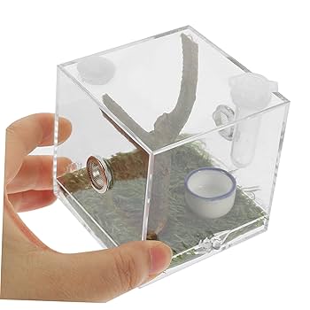 Amazon | ORFOFE 2個透明アクリル製昆虫飼育ケース 小型爬虫類用