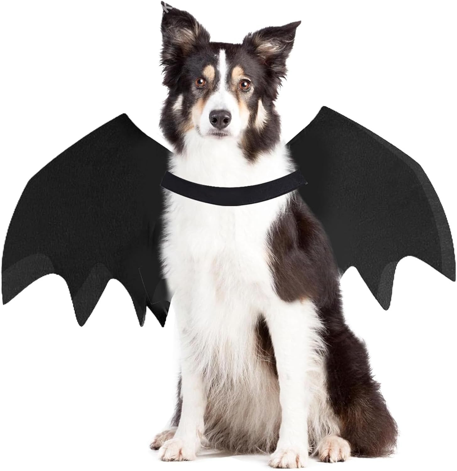 Disfraz de Murciélago para Perro Talla L Negro