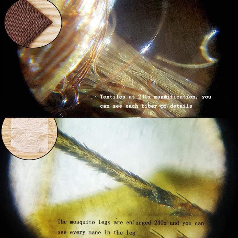 Lupa de Pantalla Lupa de Mano con luz LED, 200-240 Veces el microscopio, con luz púrpura, para inspección in situ, valoración de Joyas, impresión de fabricación