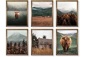 Farmhouse Highland Cow Wall Decor