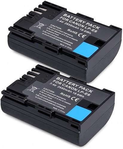 Batterie D'appareil Photo Chargeur Double Port LP-E6