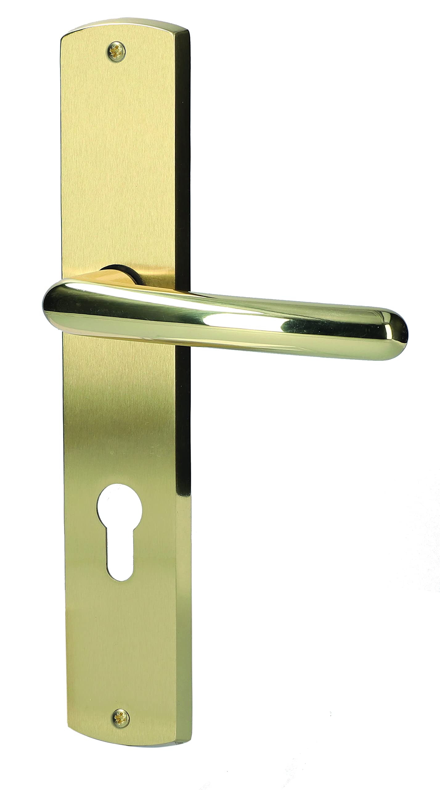 Poignée de porte Isabella Alpertec en laiton poli pour entrée