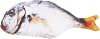 Beeztees Eastland PLD0324S Plush Pet Toy, Fish Shaped, 20 Cm