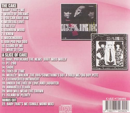 Miniatura 2 de Cake Slice Of Cake