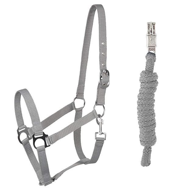 PFIFF 102931 - Juego de Cabestro y Punto, Cabestro de plástico, Color Gris