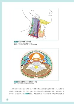 頭頸部がん手術ノート 輪層の外科 | 長谷川 泰久 |本 | 通販