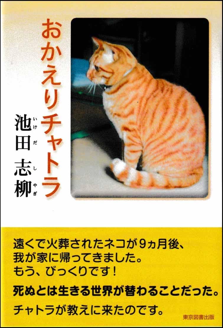 チャトラ25様 おかえりチャトラ | 池田 志柳 |本 | 通販 | Amazon