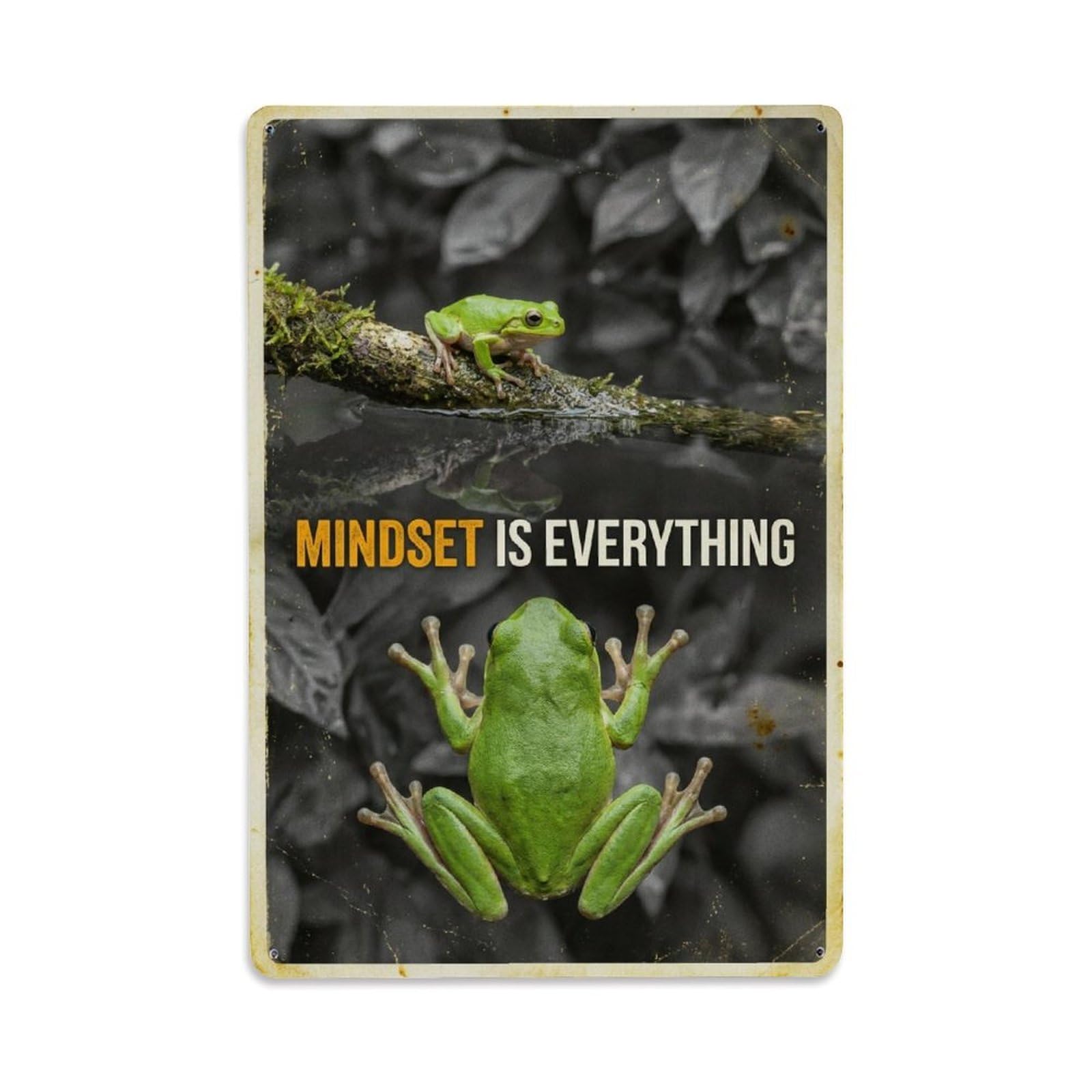 Olhnbad Style Tree Frog Amphibian Mindset Is Everything Quote Metal Tin Sign
