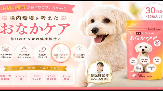 Amazon | 【獣医師監修】 犬用サプリメント 初めての腸活にも おなか