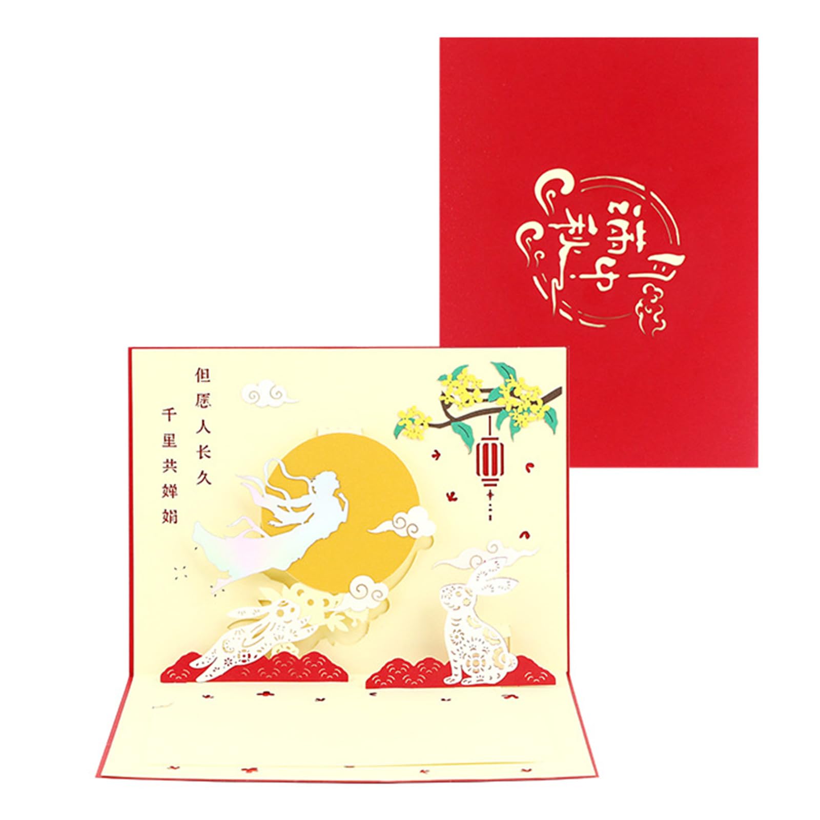 View 5