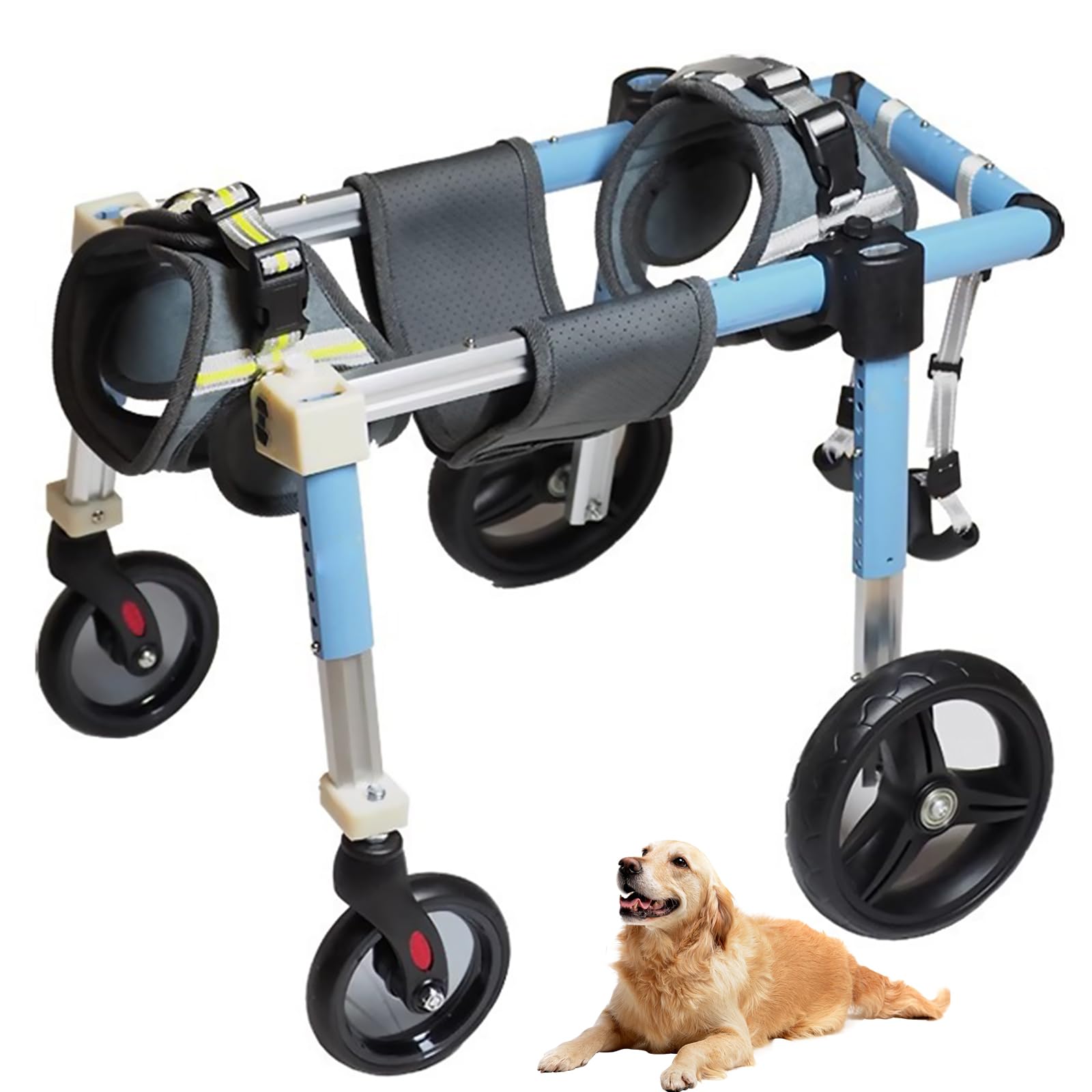 Adjustable Dog Wheelchair - Full Support Mobility Aid for Front and Back Legs - Lightweight for Disabled or Injured Pets