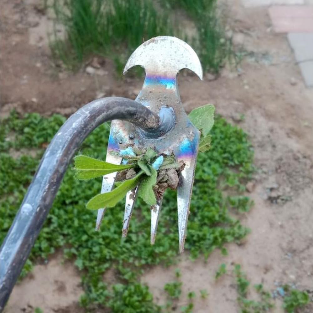 2024 New Weeding Artifact Uprooting Weeding Tool, 4 Teeth Dual Purpose Hand Weed Puller Tool with Long Handle, Manganese Steel Forged (30 cm, Sliver)
