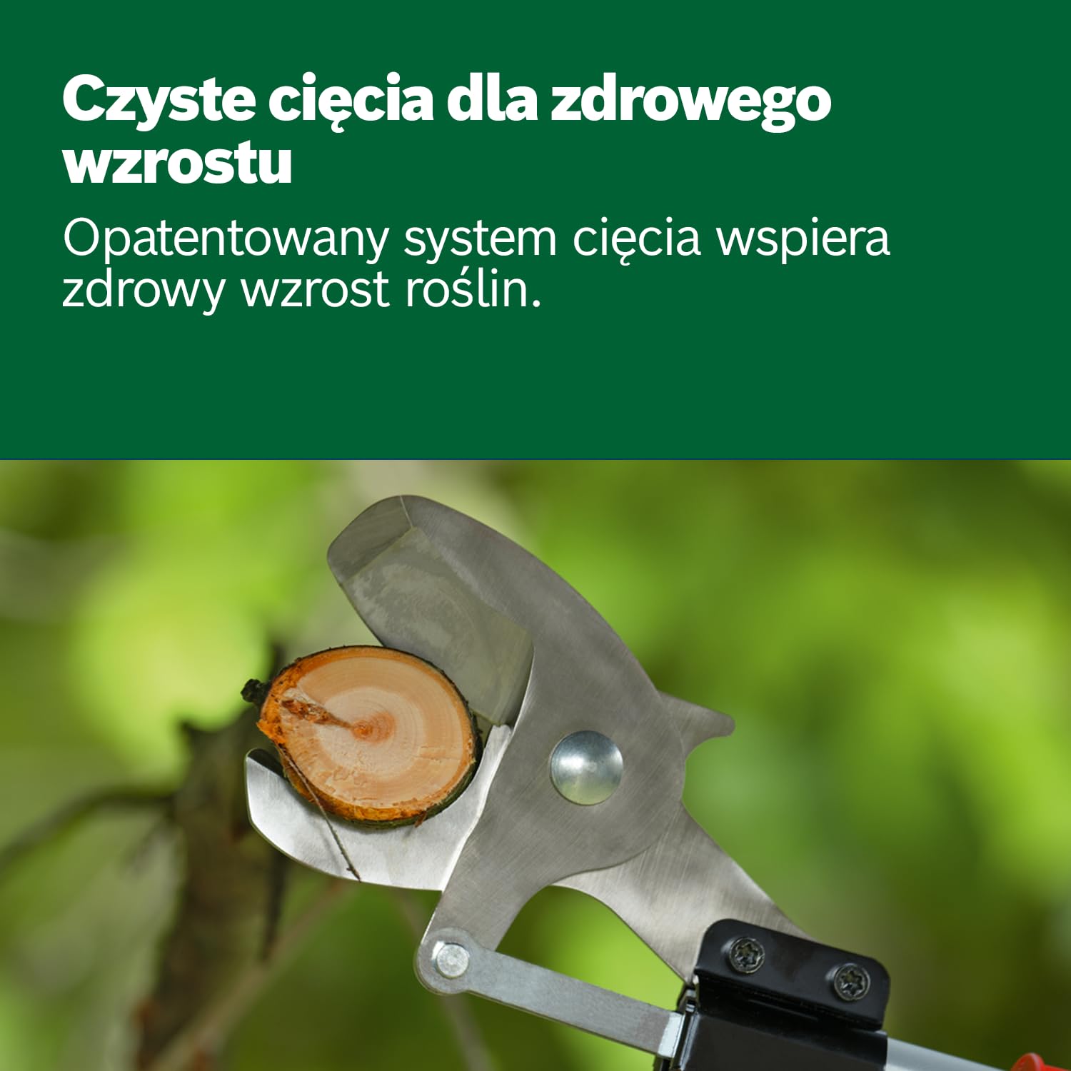 Bosch: sekator akumulatorowy AdvancedPrune 18V-45 (zapewnia łatwe cięcie gałęzi o grubości do 45 mm, system 18V, do 600 cięć, drążek, bez akumulatora i ładowarki)