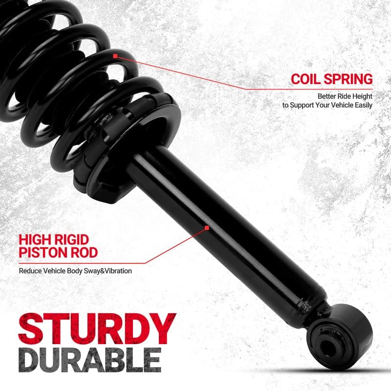Strut Assembly, Rear Struts Compatible with Maxima 1995-1999, 171293 Set of 2 SAA040, Rear Struts and Shocks Complete Assembly
