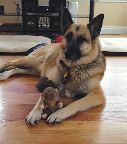 Miniatura 2 de SPOT Woodland Collection - Juguete para perros con chirriador, juguete de peluche para gruñir, juego interactivo para todas las razas de perros, 10