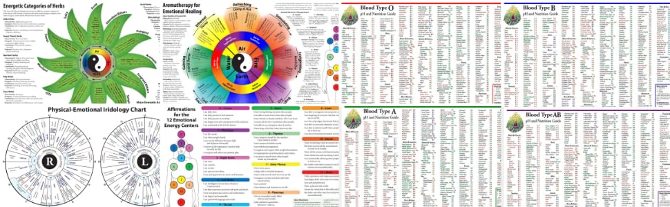 Image of Iridology Chart - 11x17 Double-Sided Laminated Iris Map with Organ Zones & Emotional Traits - Constitutional Health & Personality Assessment Tool
