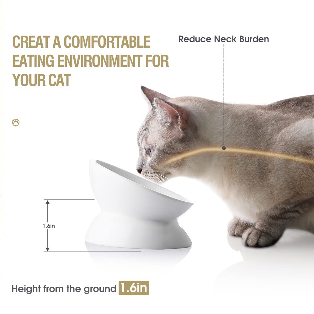 Sweejar Ceramic Raised Cat Bowls, Slanted Cat Dish Food