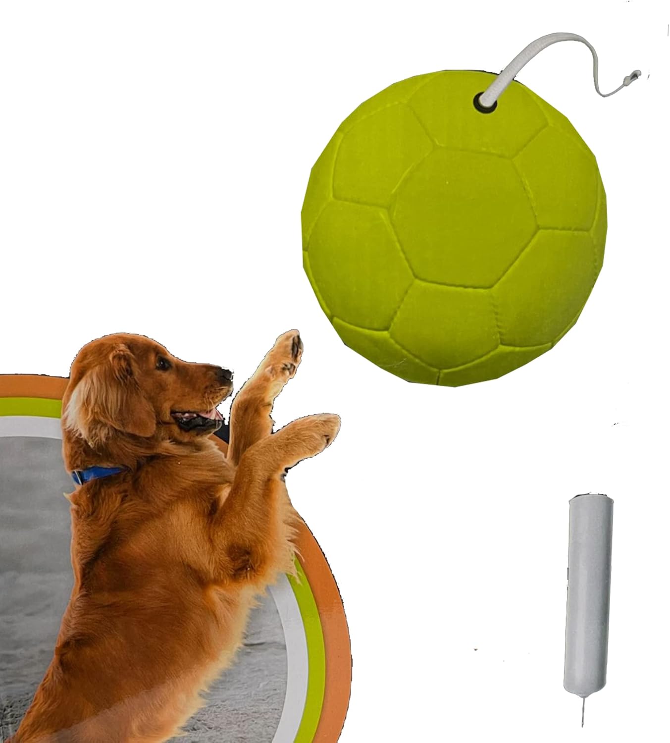 Pet Dog Puppy 10ft Tetherball Dog Toy Dog Ball with Air pump random