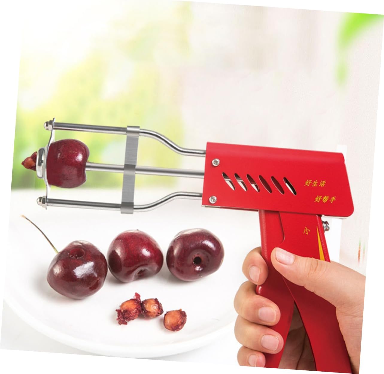 PRETYZOOM Stainless Steel Multi-functional Fruit Core Remover Cherry and Tool for Kitchen Use and Design for Effortless