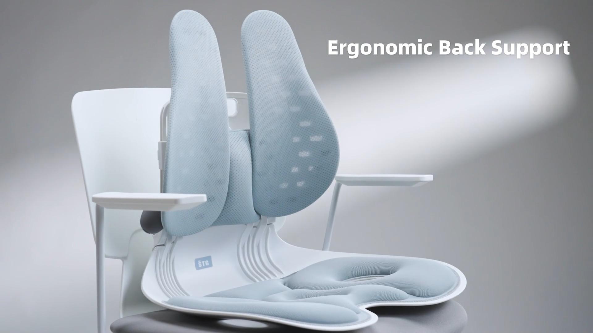 Amazon.com: ZZWS Ergonomic Back Support, Foldable Chair Back