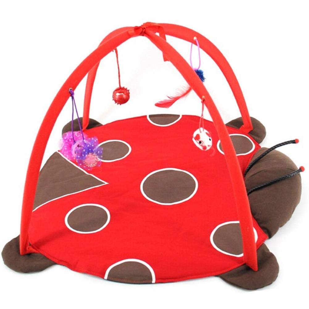 Tente chat et tapis d'activité avec balles suspendues pour le jeu des chatons