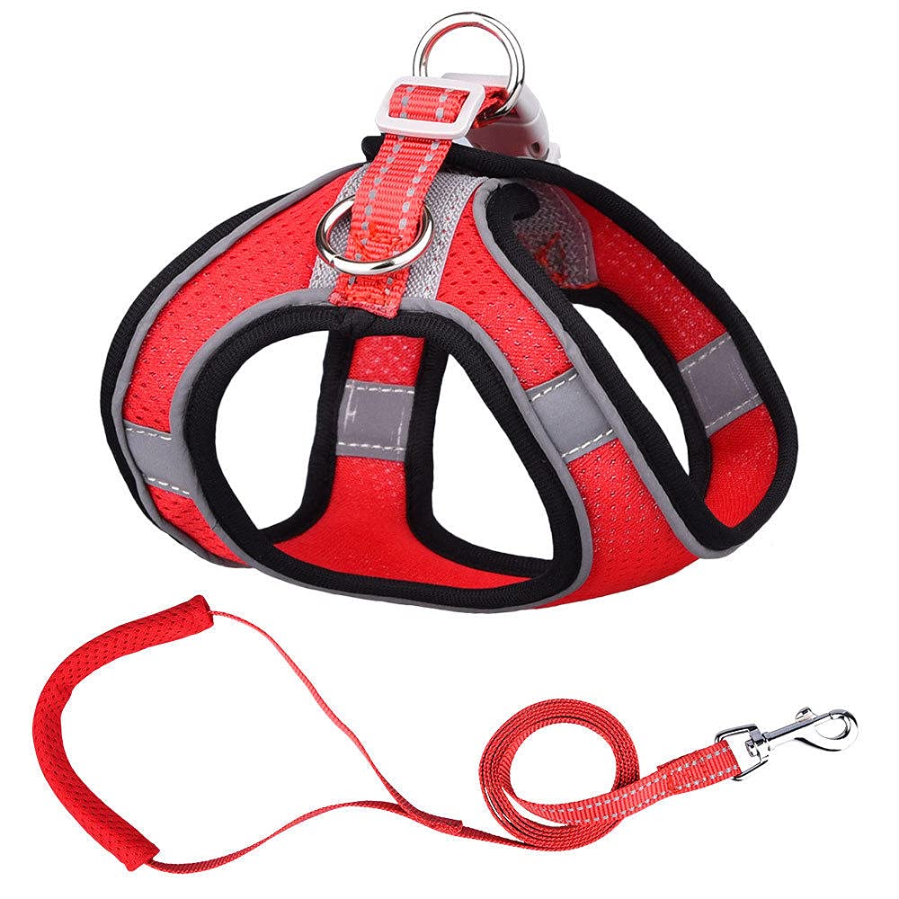 Conjunto de Correa, arnés Malla for Cachorros, Acolchada Suave for Perros pequeños, Gatos, Chaleco, Accesorios for DS(H,XS)