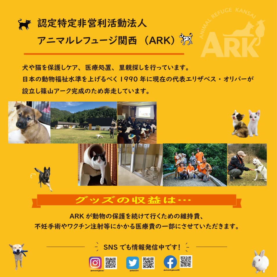 Amazon | 卓上カレンダー保護犬 保護猫 チャリティグッズ | カレンダー