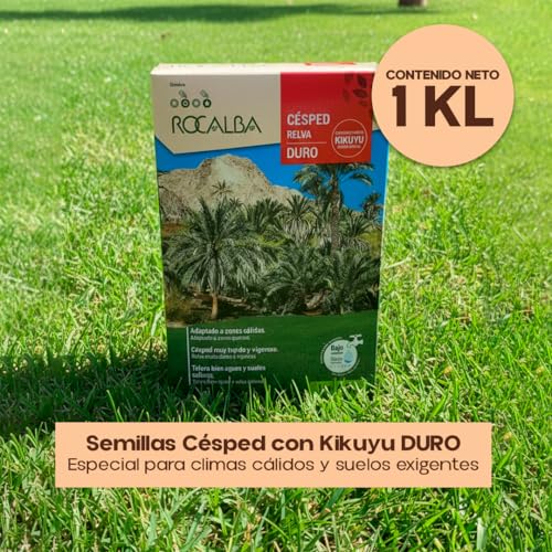 Semillas de césped para zonas secas que transforman jardines con poco riego 6