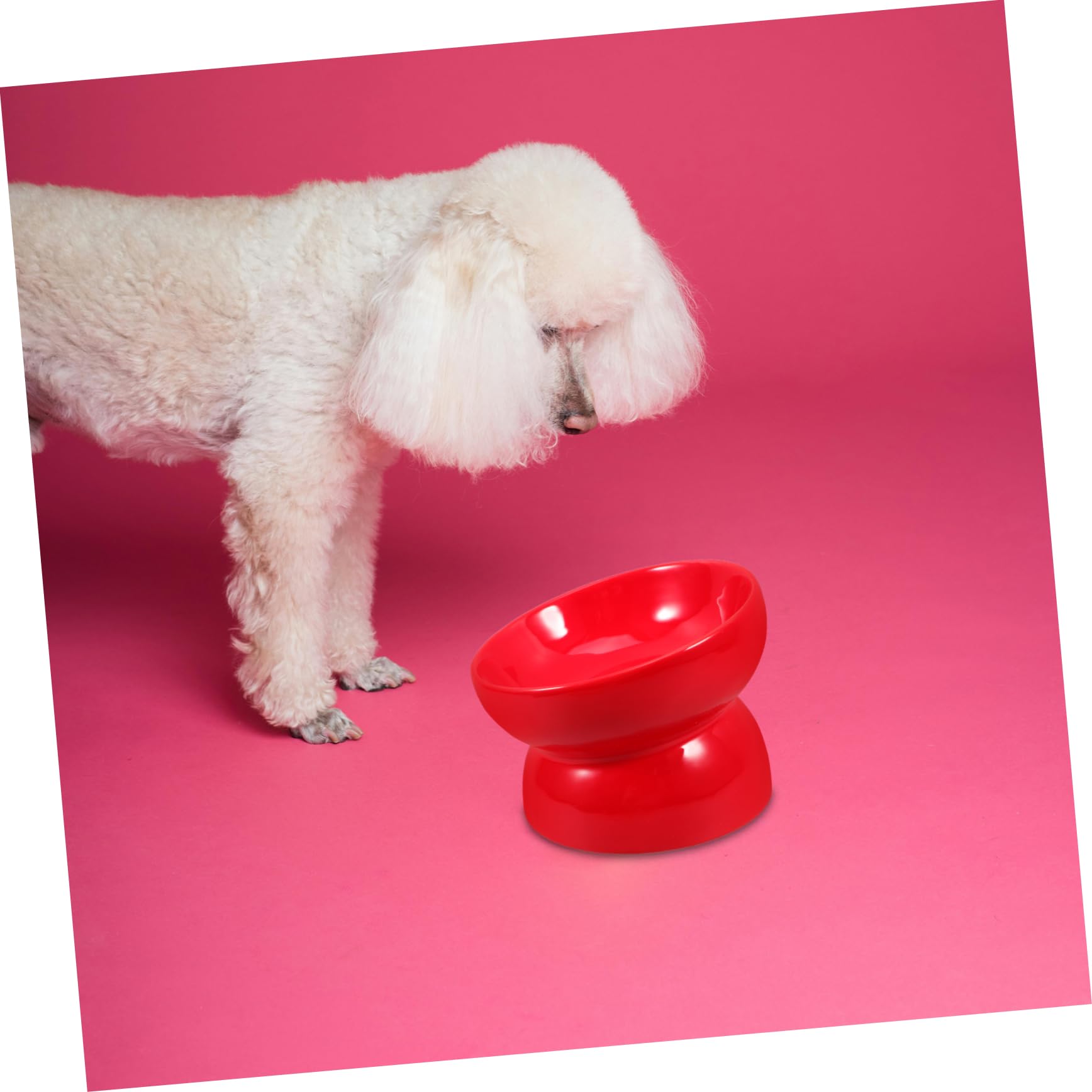 Cerámica Comedero y Boca Inclinada Patas Altas para Perros