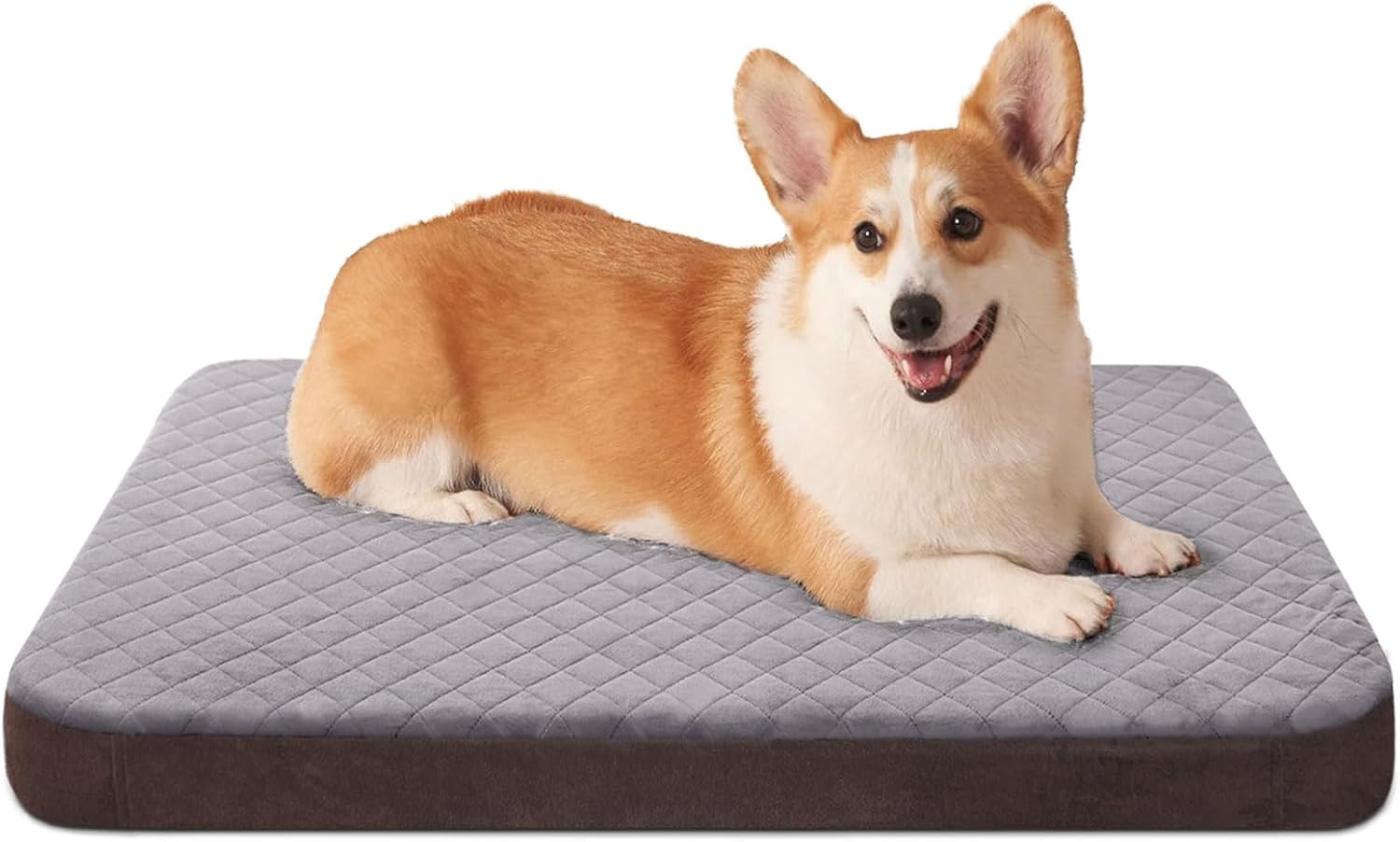 JoicyCo Dog Bed for Extra Large Dogs, Orthopedic Foam Jumbo XL Dog Bed Mattress, 47 Inches Joint Relief Pet Sleeping Bed, Non Slip Bottom with Removable Washable Cover, Dark Grey