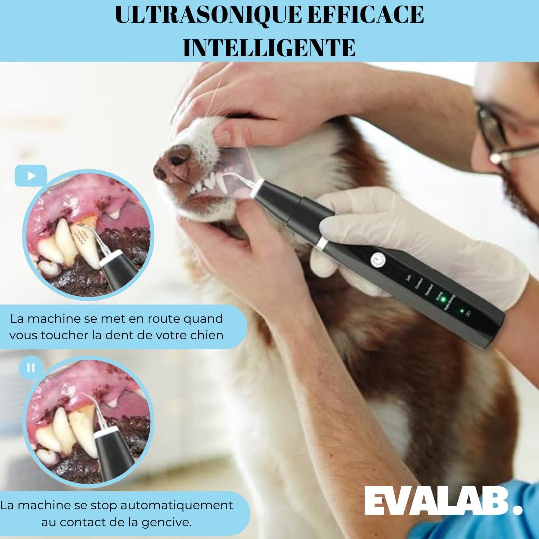 Cepillos de dientes para perros y gatos – Kit de detartrage dental – para limpiar los dientes de perros y gatos